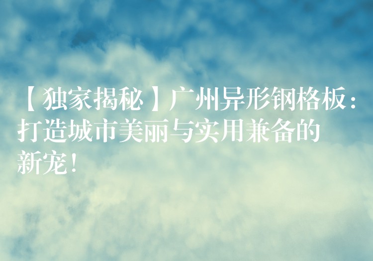 【獨家揭秘】湖南異形鋼格板：打造城市美麗與實用兼備的新寵！